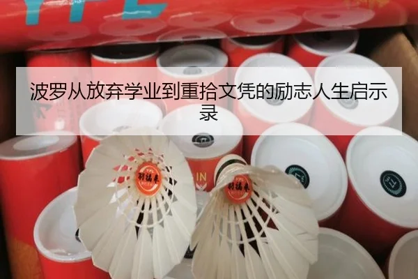 波罗从放弃学业到重拾文凭的励志人生启示录
